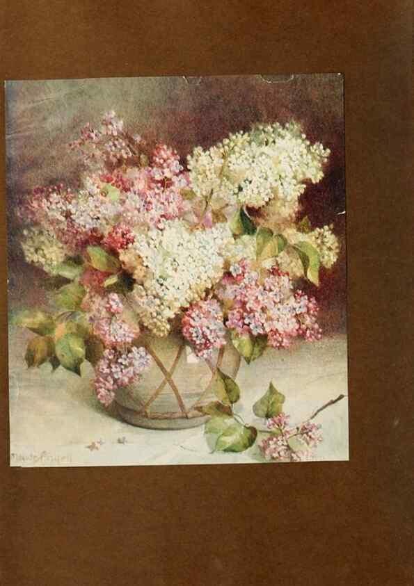 Reproducción/Reproduction 49232821543: Flower pictures,. London,[Printed by R. R. Clark,1914?]. 