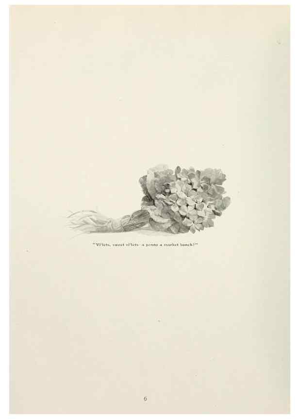 Reproducción/Reproduction 49233286771: Flower pictures,. London,[Printed by R. R. Clark,1914?]. 