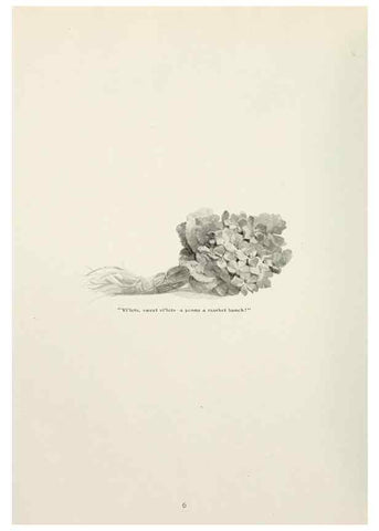 Reproducción/Reproduction 49233286771: Flower pictures,. London,[Printed by R. R. Clark,1914?]. 