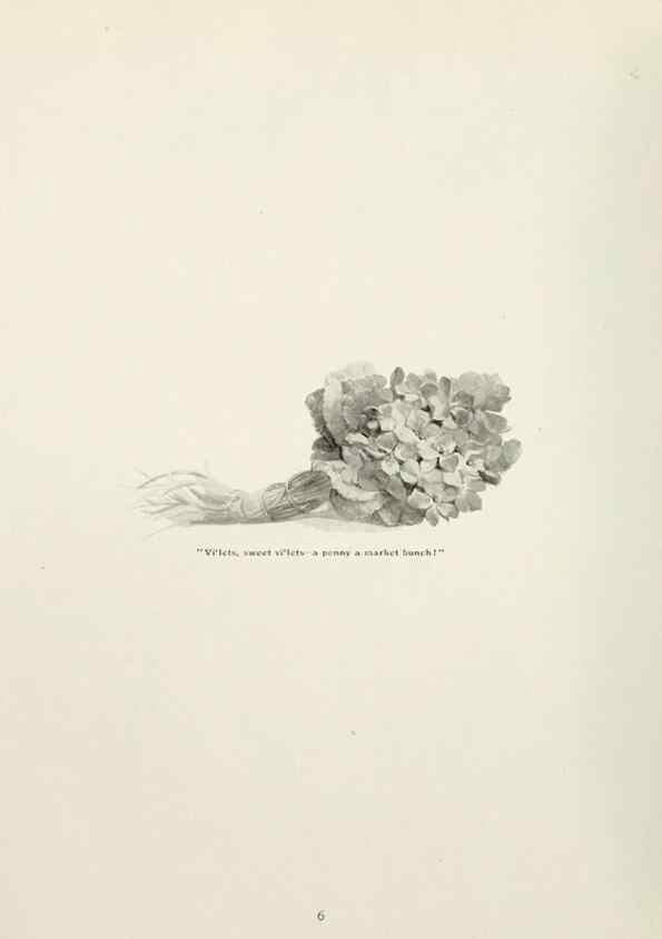 Reproducción/Reproduction 49233286771: Flower pictures,. London,[Printed by R. R. Clark,1914?]. 