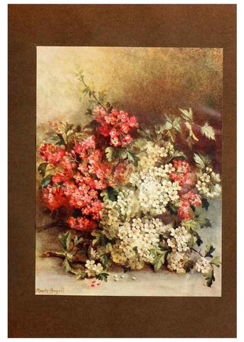 Reproducción/Reproduction 49233510942: Flower pictures,. London,[Printed by R. R. Clark,1914?]. 