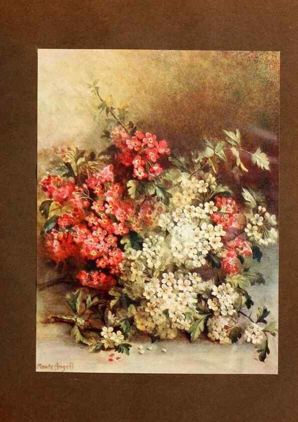 Reproducción/Reproduction 49233510942: Flower pictures,. London,[Printed by R. R. Clark,1914?]. 