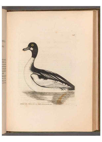 Reproducción/Reproduction 49054993103: The birds of Great Britain,. 1795-1801.. 