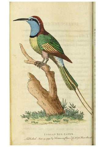 Reproducción/Reproduction 49090841318: The Naturalist's Pocket Magazine or compleat cabinet of the curiosities and beauties of nature.. London.. 