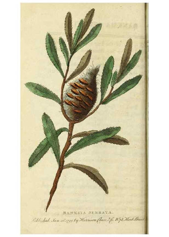 Reproducción/Reproduction 49091354806: The Naturalist's Pocket Magazine or compleat cabinet of the curiosities and beauties of nature.. London.. 