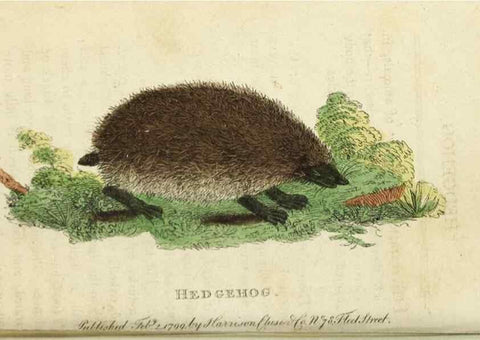 Reproducción/Reproduction 49091557932: The Naturalist's Pocket Magazine or compleat cabinet of the curiosities and beauties of nature.. London.. 