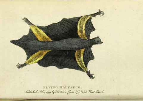 Reproducción/Reproduction 49091356941: The Naturalist's Pocket Magazine or compleat cabinet of the curiosities and beauties of nature.. London.. 