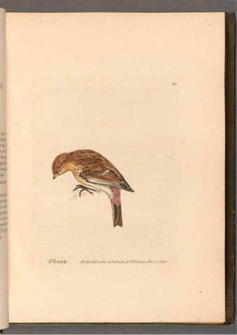 Reproducción/Reproduction 49055140796: The birds of Great Britain,. 1795-1801.. 