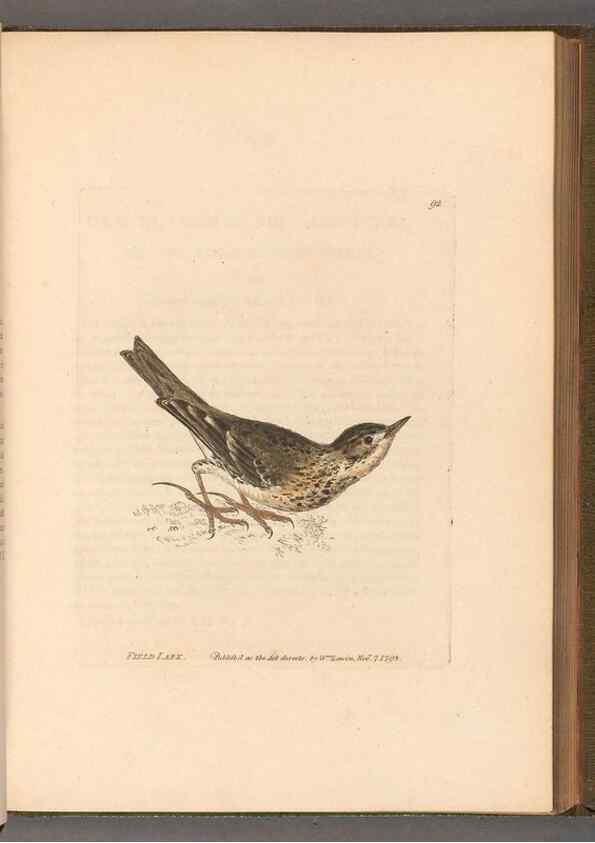 Reproducción/Reproduction 49055359697: The birds of Great Britain,. 1795-1801.. 