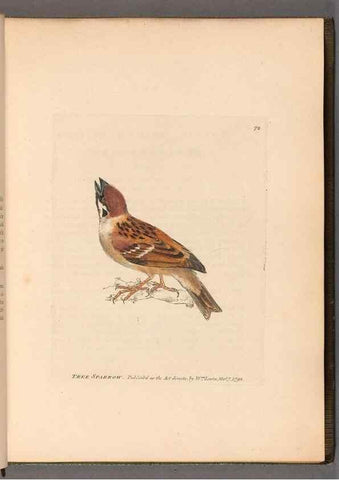 Reproducción/Reproduction 49054623593: The birds of Great Britain,. 1795-1801.. 