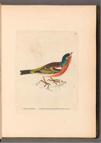 Reproducción/Reproduction 49054623928: The birds of Great Britain,. 1795-1801.. 