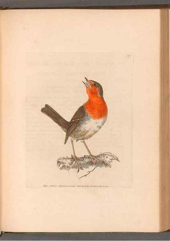 Reproducción/Reproduction 49054669883: The birds of Great Britain,. 1795-1801.. 