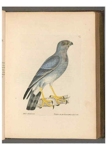 Reproducción/Reproduction 49054649122: The birds of Great Britain,. 1795-1801.. 