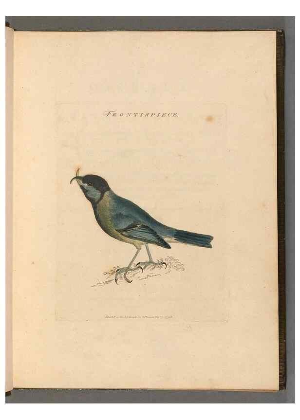 Reproducción/Reproduction 49054502182: The birds of Great Britain,. 1795-1801.. 