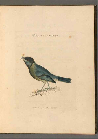 Reproducción/Reproduction 49054502182: The birds of Great Britain,. 1795-1801.. 