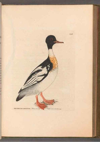 Reproducción/Reproduction 49055653907: The birds of Great Britain,. 1795-1801.. 
