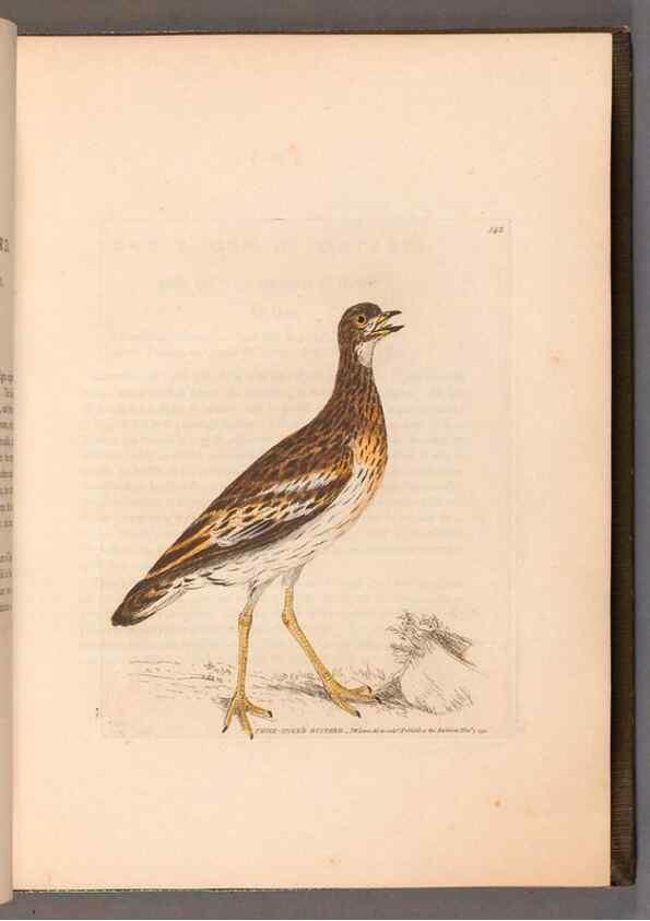Reproducción/Reproduction 49054760893: The birds of Great Britain,. 1795-1801.. 