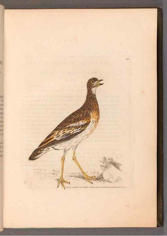 Reproducción/Reproduction 49054760893: The birds of Great Britain,. 1795-1801.. 