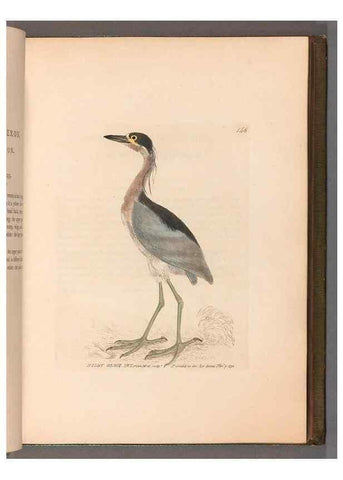 Reproducción/Reproduction 49054762173: The birds of Great Britain,. 1795-1801.. 