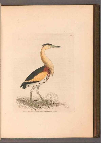 Reproducción/Reproduction 49055278596: The birds of Great Britain,. 1795-1801.. 