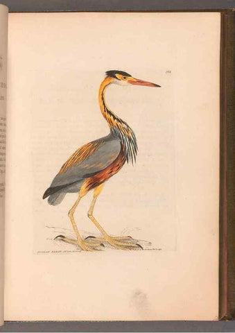 Reproducción/Reproduction 49055279821: The birds of Great Britain,. 1795-1801.. 