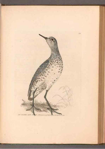 Reproducción/Reproduction 49055314276: The birds of Great Britain,. 1795-1801.. 