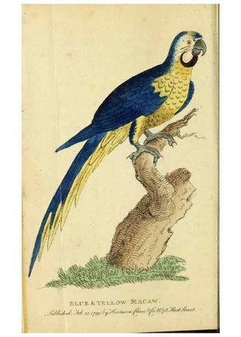 Reproducción/Reproduction 49091358381: The Naturalist's Pocket Magazine or compleat cabinet of the curiosities and beauties of nature.. London.. 