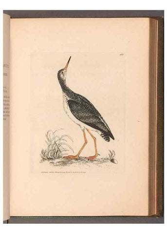 Reproducción/Reproduction 49054767673: The birds of Great Britain,. 1795-1801.. 