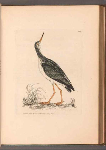 Reproducción/Reproduction 49054767673: The birds of Great Britain,. 1795-1801.. 