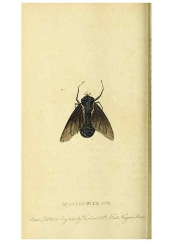 Reproducción/Reproduction 49121893263: The Naturalist's Pocket Magazine or compleat cabinet of the curiosities and beauties of nature.. London.. 