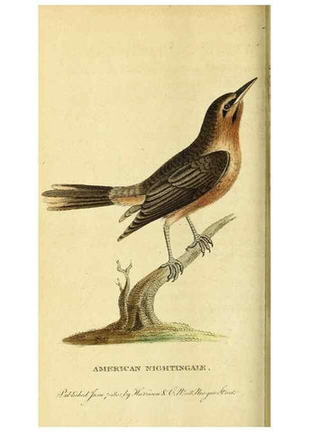 Reproducción/Reproduction 49121894488: The Naturalist's Pocket Magazine or compleat cabinet of the curiosities and beauties of nature.. London.. 