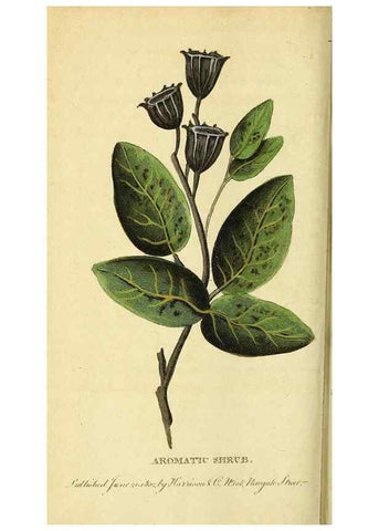 Reproducción/Reproduction 49122585717: The Naturalist's Pocket Magazine or compleat cabinet of the curiosities and beauties of nature.. London.. 