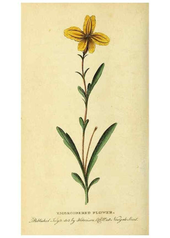 Reproducción/Reproduction 49122399441: The Naturalist's Pocket Magazine or compleat cabinet of the curiosities and beauties of nature.. London.. 