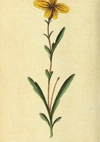 Reproducción/Reproduction 49122399441: The Naturalist's Pocket Magazine or compleat cabinet of the curiosities and beauties of nature.. London.. 