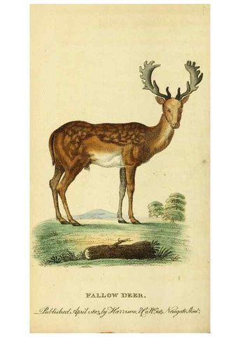 Reproducción/Reproduction 49122588052: The Naturalist's Pocket Magazine or compleat cabinet of the curiosities and beauties of nature.. London.. 