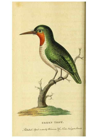 Reproducción/Reproduction 49121892038: The Naturalist's Pocket Magazine or compleat cabinet of the curiosities and beauties of nature.. London.. 