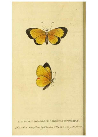 Reproducción/Reproduction 49121886508: The Naturalist's Pocket Magazine or compleat cabinet of the curiosities and beauties of nature.. London.. 
