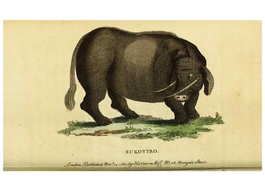 Reproducción/Reproduction 49122390086: The Naturalist's Pocket Magazine or compleat cabinet of the curiosities and beauties of nature.. London.. 
