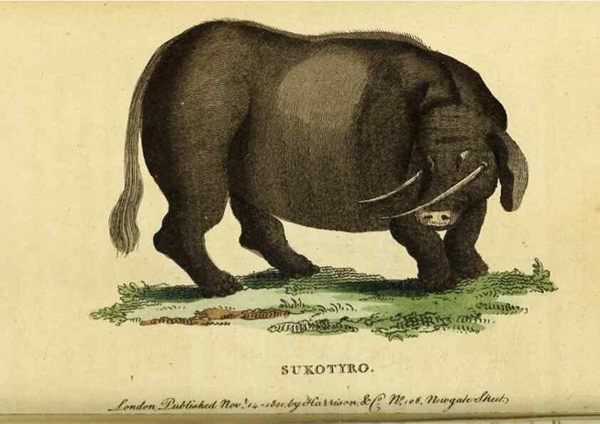 Reproducción/Reproduction 49122390086: The Naturalist's Pocket Magazine or compleat cabinet of the curiosities and beauties of nature.. London.. 