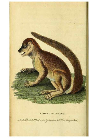 Reproducción/Reproduction 49121887743: The Naturalist's Pocket Magazine or compleat cabinet of the curiosities and beauties of nature.. London.. 