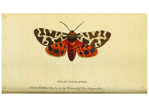 Reproducción/Reproduction 49122577617: The Naturalist's Pocket Magazine or compleat cabinet of the curiosities and beauties of nature.. London.. 