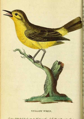 Reproducción/Reproduction 49122386106: The Naturalist's Pocket Magazine or compleat cabinet of the curiosities and beauties of nature.. London.. 