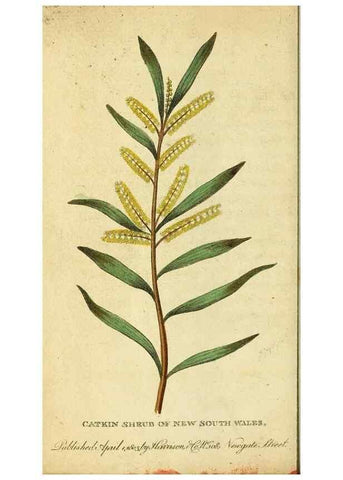 Reproducción/Reproduction 49122401836: The Naturalist's Pocket Magazine or compleat cabinet of the curiosities and beauties of nature.. London.. 