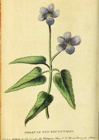 Reproducción/Reproduction 49122567307: The Naturalist's Pocket Magazine or compleat cabinet of the curiosities and beauties of nature.. London.. 