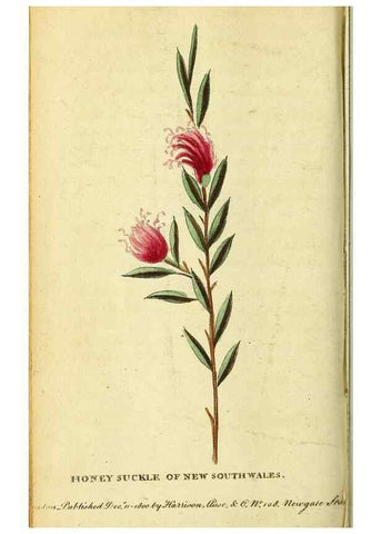 Reproducción/Reproduction 49121879963: The Naturalist's Pocket Magazine or compleat cabinet of the curiosities and beauties of nature.. London.. 