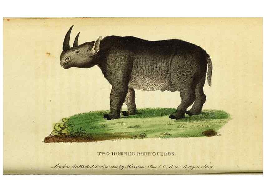 Reproducción/Reproduction 49122570472: The Naturalist's Pocket Magazine or compleat cabinet of the curiosities and beauties of nature.. London.. 