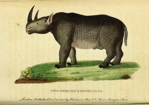 Reproducción/Reproduction 49122570472: The Naturalist's Pocket Magazine or compleat cabinet of the curiosities and beauties of nature.. London.. 