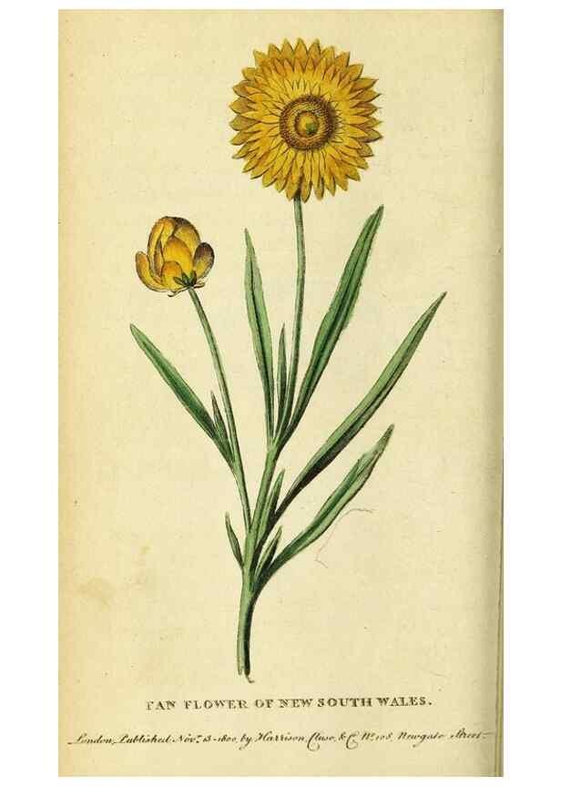 Reproducción/Reproduction 49121874458: The Naturalist's Pocket Magazine or compleat cabinet of the curiosities and beauties of nature.. London.. 