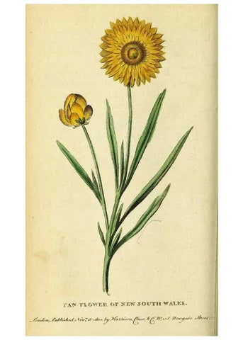 Reproducción/Reproduction 49121874458: The Naturalist's Pocket Magazine or compleat cabinet of the curiosities and beauties of nature.. London.. 