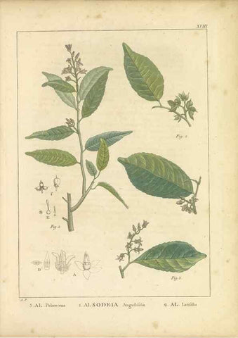 Reproducción/Reproduction 49121132073: Histoire des végétaux recueilles dans les isles australes d'Afrique.. 1806.. 